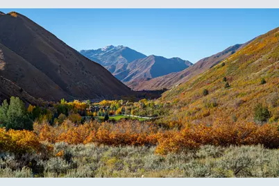 541 S Left Fork Hobb Rd E #8, Springville, UT 84663 - Photo 23