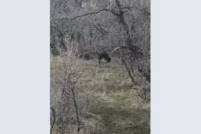 541 S Left Fork Hobb Rd E #8, Springville, UT 84663 - Photo 11