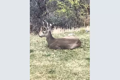 541 S Left Fork Hobb Rd E #8, Springville, UT 84663 - Photo 9