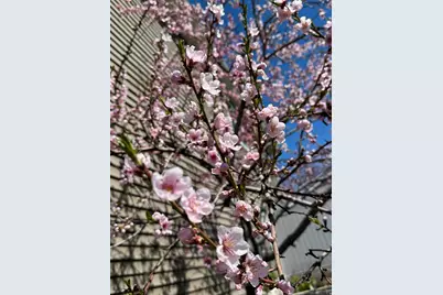 555 N 750 E, Hyde Park, UT 84318 - Photo 43