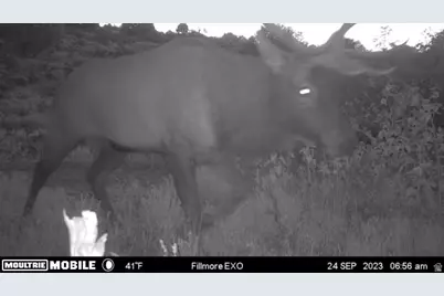 1100 S Deer Pasture Rd, Fillmore, UT 84631 - Photo 11