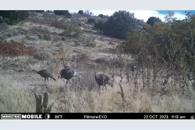 1100 S Deer Pasture Rd, Fillmore, UT 84631 - Photo 23