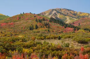 12384 Ross Creek Dr N, Kamas, UT 84036 - Photo 11