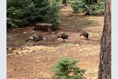 3120 N Henry Rd, Duck Creek Village, UT 84762 - Photo 13