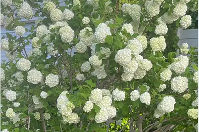 501 W 670 N, Tooele, UT 84074 - Photo 15