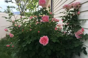 501 W 670 N, Tooele, UT 84074 - Photo 5