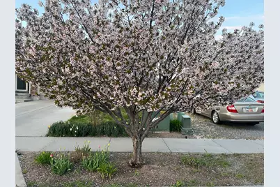 501 W 670 N, Tooele, UT 84074 - Photo 9