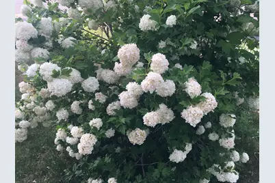 501 W 670 N, Tooele, UT 84074 - Photo 11