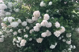 501 W 670 N, Tooele, UT 84074 - Photo 11