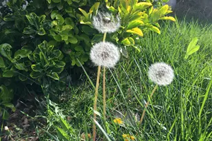 501 W 670 N, Tooele, UT 84074 - Photo 9