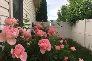 501 W 670 N, Tooele, UT 84074 - Photo 3