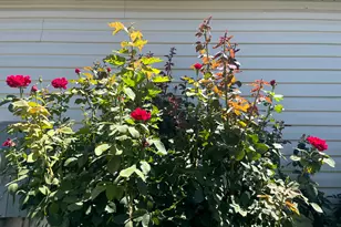 501 W 670 N, Tooele, UT 84074 - Photo 7