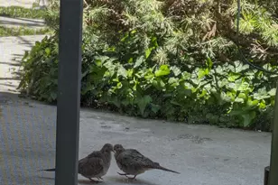 4611 S Quail Vista Cove, Millcreek, UT 84117 - Photo 35