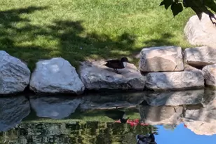 4611 S Quail Vista Cove, Millcreek, UT 84117 - Photo 33