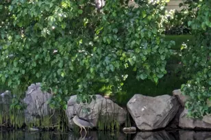 4611 S Quail Vista Cove, Millcreek, UT 84117 - Photo 29