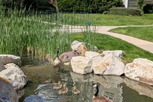 4611 S Quail Vista Cove, Millcreek, UT 84117 - Photo 27