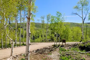3824 S Blazing Star Way, Heber City, UT 84032 - Photo 7