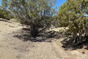 0, Bridgeland, UT 84021 - Photo 39