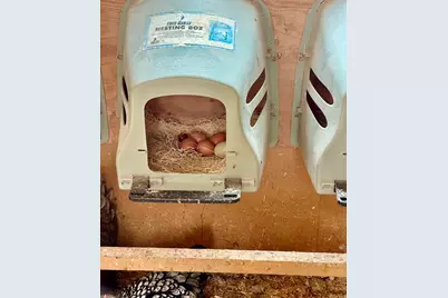 6645 N 4800 W, Amalga, UT 84335 - Photo 49