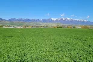 377 E 8900 S, Paradise, UT 84328 - Photo 1