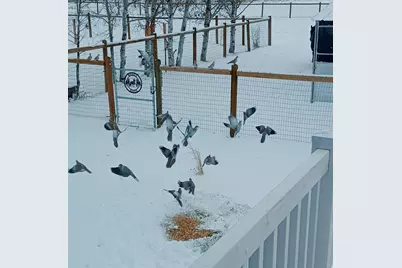 681 W Island Rd, Morgan, UT 84050 - Photo 39