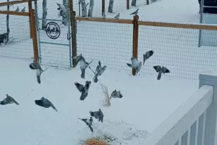 681 W Island Rd, Morgan, UT 84050 - Photo 39