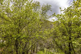 8840 N The Knoll, Sundance, UT 84604 - Photo 25