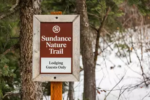 8840 N The Knoll, Sundance, UT 84604 - Photo 35