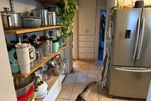 1409 S Edison St, Salt Lake City, UT 84115 - Photo 5