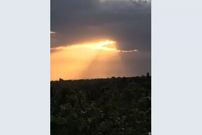 1269 Alice Ln, Farmington, UT 84025 - Photo 77