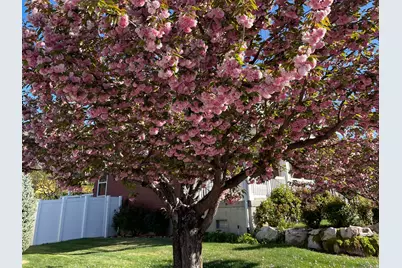 2353 Canyon View Dr, Layton, UT 84040 - Photo 27