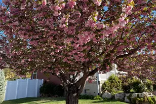 2353 Canyon View Dr, Layton, UT 84040 - Photo 27