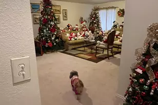 8019 Madison Nan Dr, West Jordan, UT 84088 - Photo 13