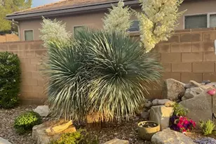 1763 W Morane Manor Dr, Saint George, UT 84790 - Photo 23