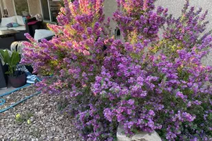 1763 W Morane Manor Dr, Saint George, UT 84790 - Photo 37