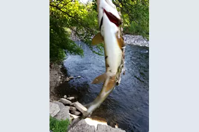 1535 Sumac Dr, Logan, UT 84321 - Photo 59