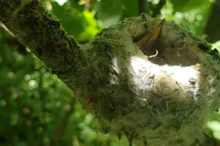 1535 Sumac Dr, Logan, UT 84321 - Photo 53