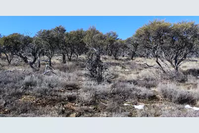 997 W Cisco Run #E41, Garden City, UT 84028 - Photo 3