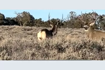 389 N Old Summit Rd #19, Monticello, UT 84535 - Photo 9