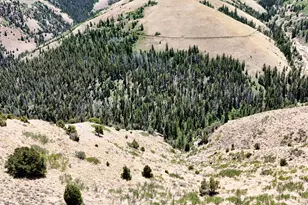 7500 Spring Canyon Rd, Helper, UT 84526 - Photo 49