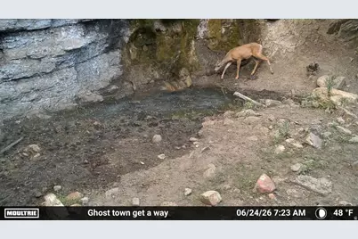 7500 Spring Canyon Rd, Helper, UT 84526 - Photo 55