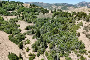 7500 Spring Canyon Rd, Helper, UT 84526 - Photo 57