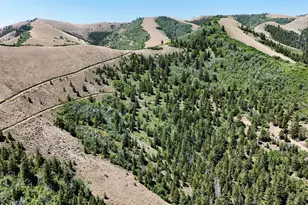 7500 Spring Canyon Rd, Helper, UT 84526 - Photo 41