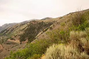 7500 Spring Canyon Rd, Helper, UT 84526 - Photo 83