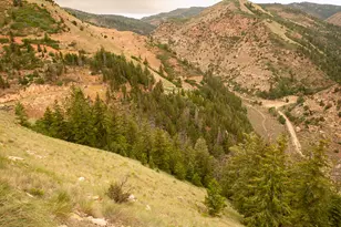 7500 Spring Canyon Rd, Helper, UT 84526 - Photo 81