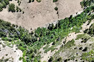 7500 Spring Canyon Rd, Helper, UT 84526 - Photo 51