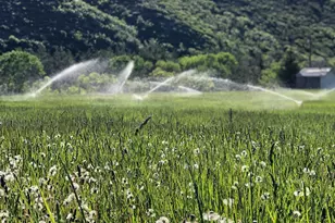 4611 S Cv Ln, Daniel, UT 84032 - Photo 69