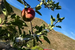 4611 S Cv Ln, Daniel, UT 84032 - Photo 81