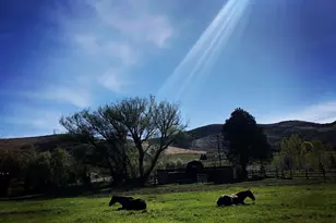 4611 S Cv Ln, Daniel, UT 84032 - Photo 71