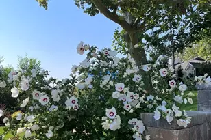 786 E 11th Ave N, Salt Lake City, UT 84103 - Photo 21